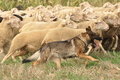 Vorschau von Bild 55 von 169