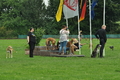 Vorschau von Bild 407 von 528