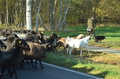 Vorschau von Bild 28 von 156