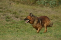 Vorschau von Bild 73 von 156