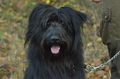 Vorschau von Bild 138 von 156